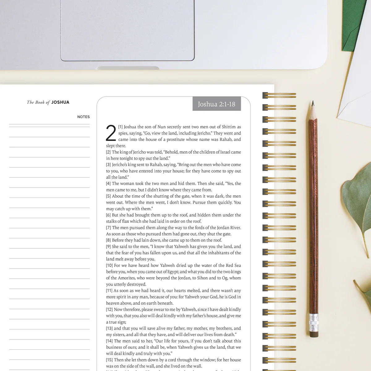 Spiral Bible™ - WEB - Old Testament  - Bundle - Image 9